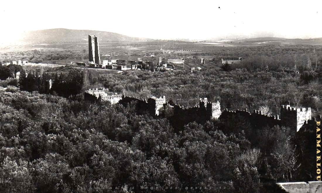 Tlemcen.Mansourah 01.jpg